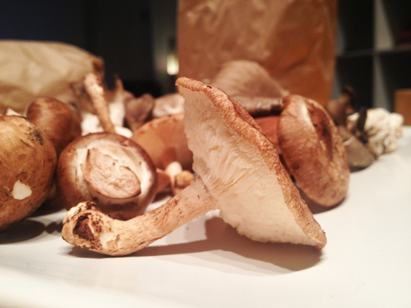 Gourmet Vegan Mushroom Risotto - Shitake Mushrooms