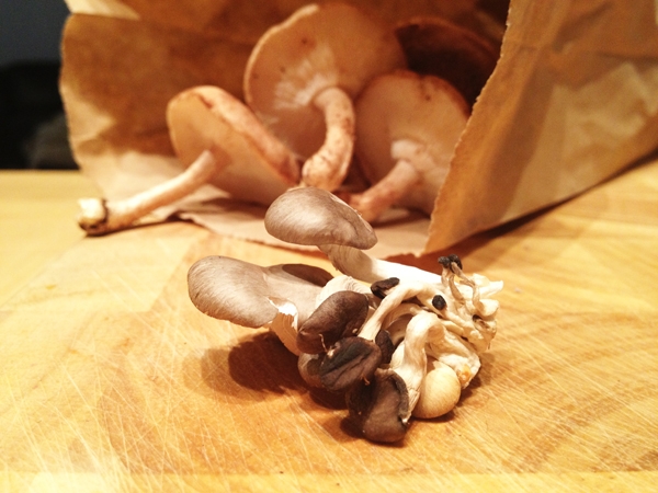 Gourmet Vegan Mushroom Risotto - Oyster Mushrooms