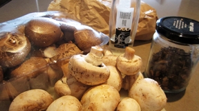 Beautiful mushroom goodness