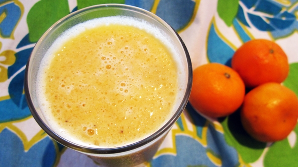 Orange Julius Protein Shake (Vegan, Gluten-Free)