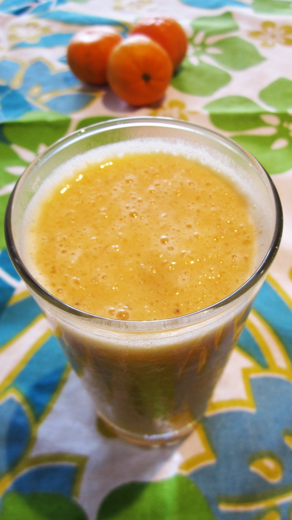 Vegan Orange Julius Protein Shake (Gluten-Free)