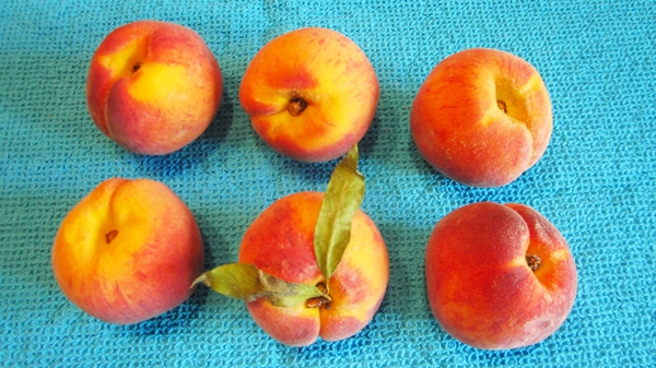 Fresh Peach Shake - Vegan & Gluten-Free