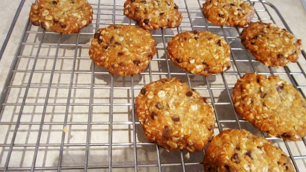 Vegan Oatmeal Chocolate Chip Cookies