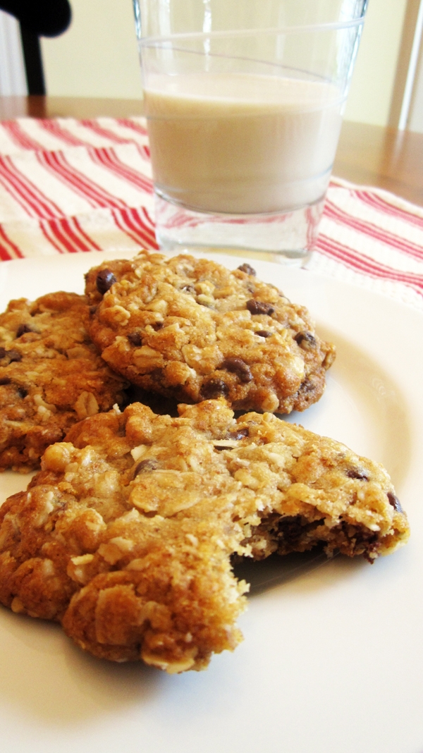 Vegan Oatmeal Chocolate Chip Cookies