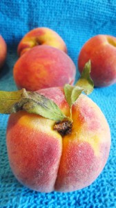 Ontario Peaches